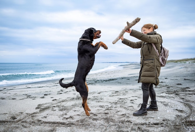 Vrouw speelt met rottweilerhond bij koud weer op het strand