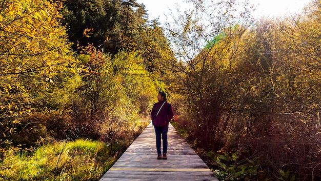 Foto vrouw staande op de promenade tussen de bomen