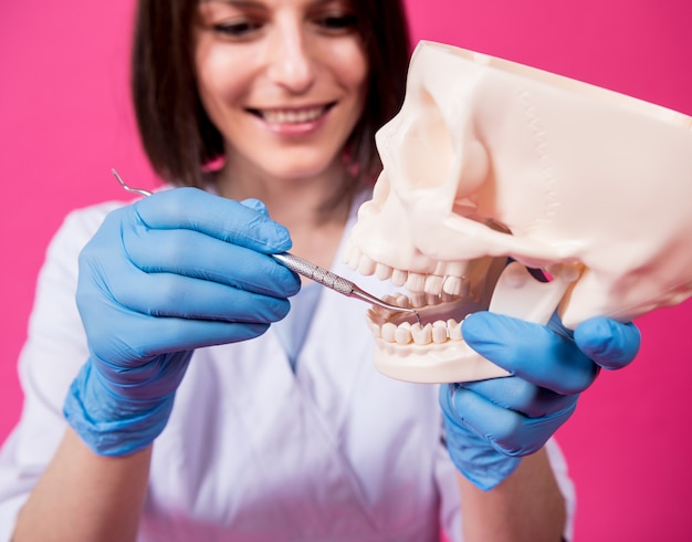 Vrouw tandarts onderzoekt de mondholte van de kunstmatige schedel met steriele tandheelkundige instrumenten
