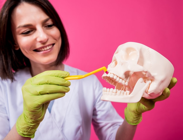 Vrouw tandarts tandenpoetsen van een kunstmatige schedel met behulp van een enkele getufte tandenborstel