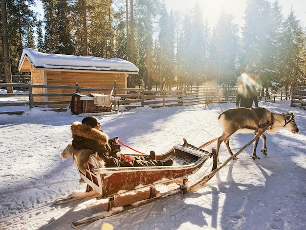 Vrouw terwijl rendierslee race in de winter Rovaniemi, Lapland, Finland