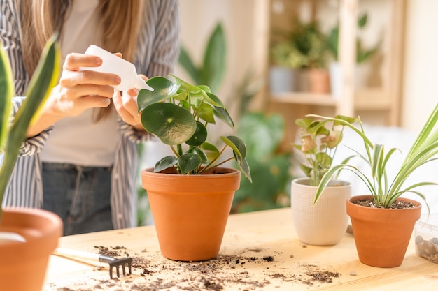 Vrouw tuinders drenken plant