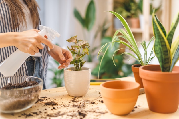 Vrouw tuinders drenken plant