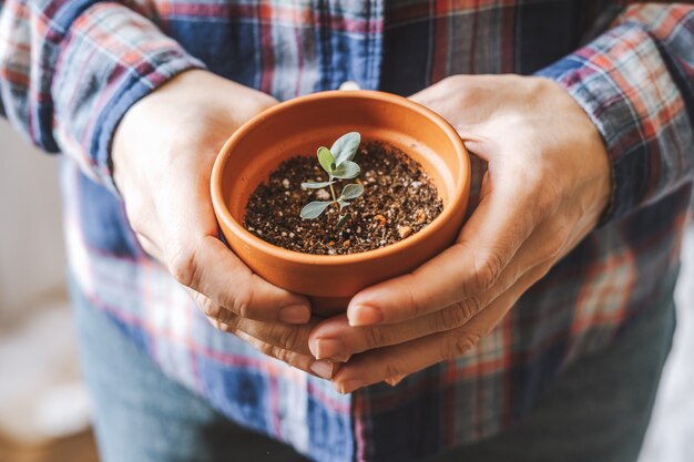 Vrouw tuinders met plant