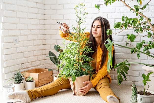 Foto vrouw tuinman het verzorgen van haar kalanchoë plant in de huistuin