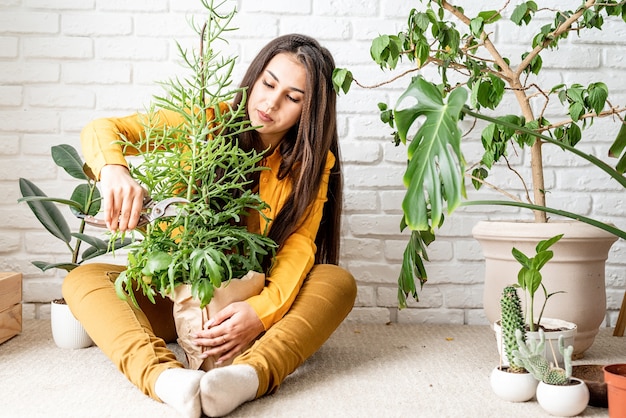 Vrouw tuinman het verzorgen van haar kalanchoë plant in de huistuin