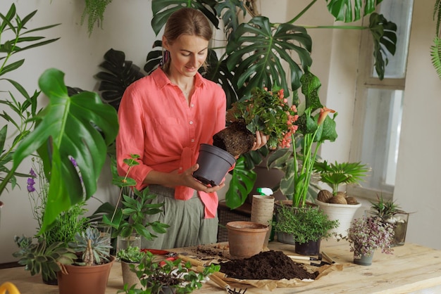 Vrouw tuinman nieuwe plant oppotten en pot verpotten voor kamerplant Planten zorgconcept