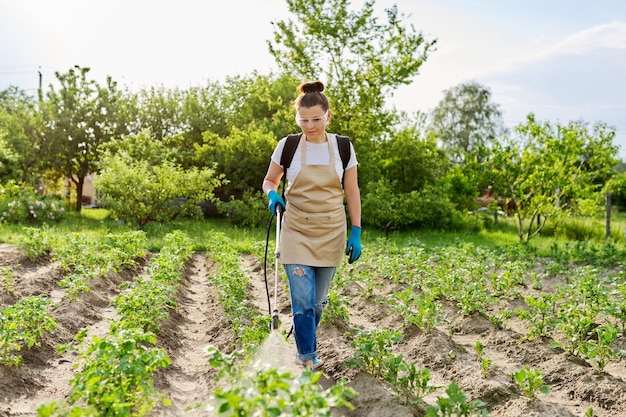 Vrouw tuinman spuiten jonge aardappelplanten in de lente moestuin