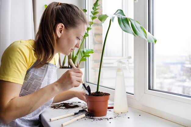 Vrouw tuinman zorg voor kamerplanten