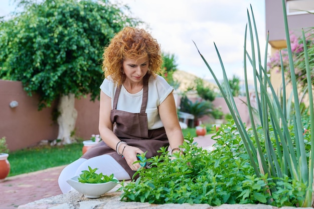 Vrouw van middelbare leeftijd die in de tuin muntkruiden plukt voor eten en drinken