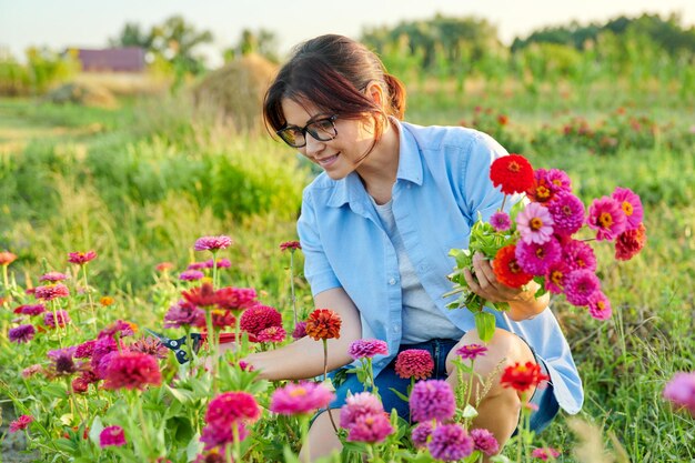 Vrouw van middelbare leeftijd die met tuinschaar een boeket bloemen van Zinnia plukt