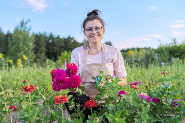 Vrouw van middelbare leeftijd met een snoeischaar die een boeket zinnia-bloemen snijdt