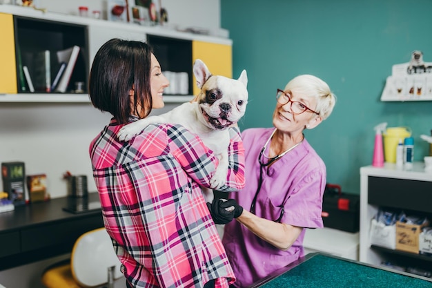 Vrouw van middelbare leeftijd met haar Franse buldog bij dierenarts.