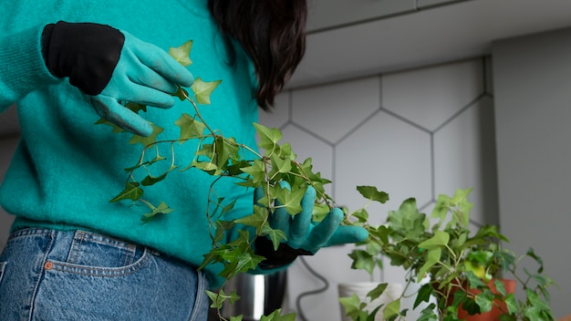 Foto vrouw verwisselt thuis de potten van haar planten tijdens quarantaine