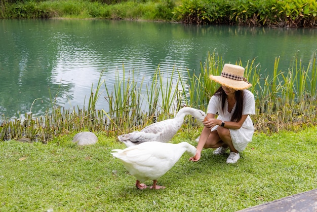 Vrouw voedt de gans op een toeristische boerderij