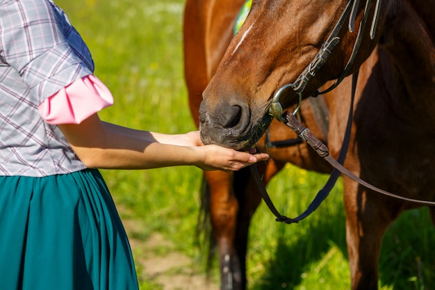 vrouw voedt een paard met handen favoriete dier