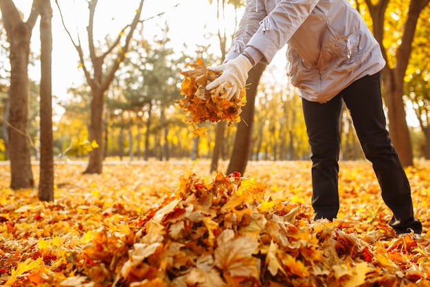 Vrouw vrijwilliger verzamelt bladeren in een zak. Bladeren schoonmaken in het herfstpark. Herfst landschap.