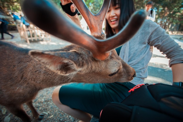 Foto vrouw zit met hert in de dierentuin.