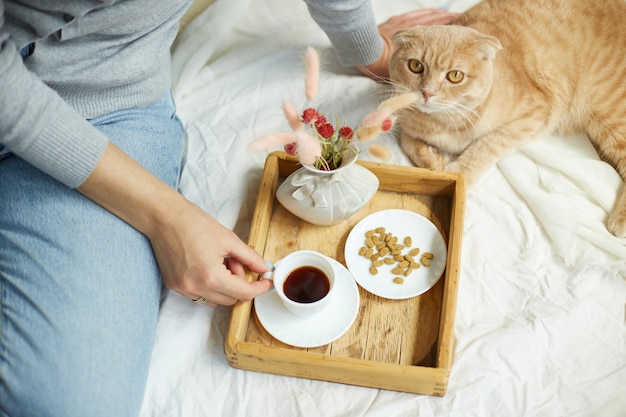 Vrouw zittend op het bed en koffie drinken, katten voeren