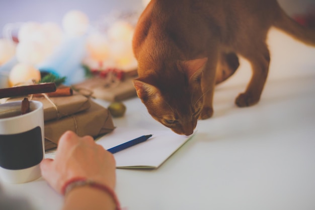 Vrouw zittend op het bureau met kerstcadeaudoos Handen van vrouw