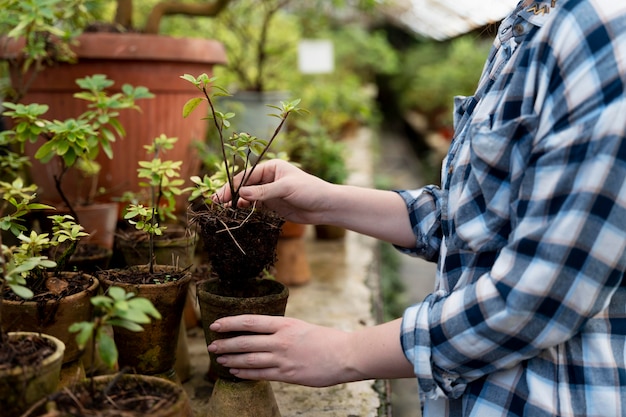 Vrouw zorgt goed voor haar planten