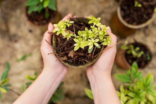 Foto vrouw zorgt goed voor haar planten