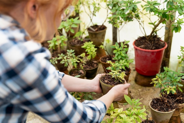 Foto vrouw zorgt voor haar planten in een kas