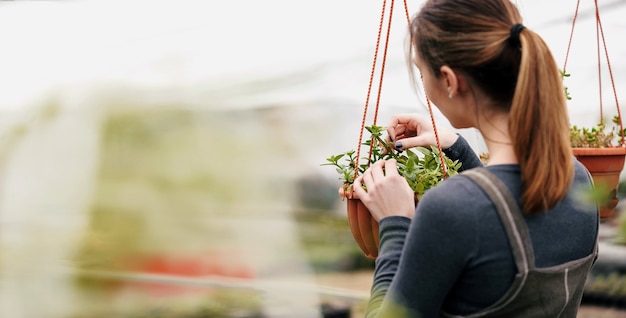 Vrouw zorgt voor planten