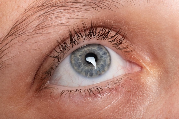 Vrouwelijk oog close-up visie diagnostiek
