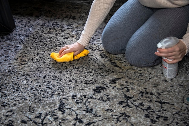 Vrouwelijk schoonmaaktapijt met doek en sproeier close-up vuile bruine koffievlek vrouw die huis schoonmaakt