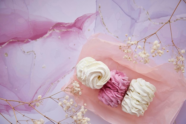 Vrouwelijke achtergrond roze en witte marshmallow met decoratie van gipskruid Gezellige winterweekends Zelfgemaakte zoetigheden Bovenaanzicht Kopieer ruimte Hoge kwaliteit foto