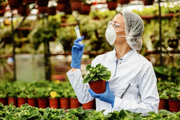 Vrouwelijke bioloog met spuit die planten behandelt terwijl ze in een kas werkt