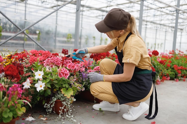 Vrouwelijke bloemist snijdt verwelkte bloemen Kaswerk