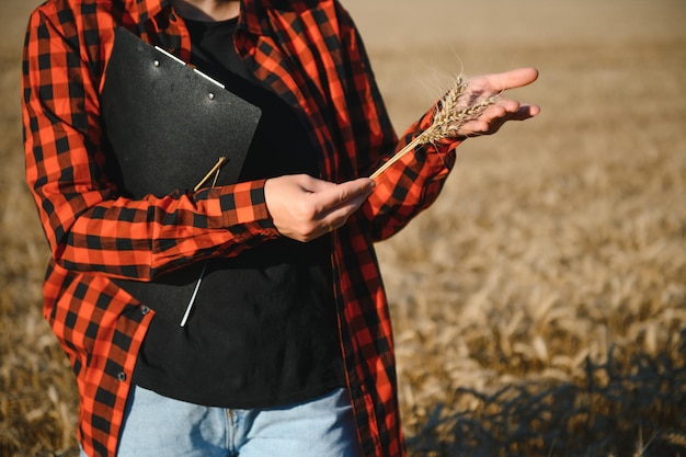 Vrouwelijke boer agronoom die in het graanveld werkt en het inkomen van de oogst plant