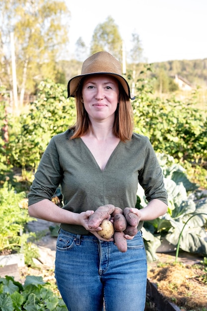 Vrouwelijke boer die aardappelen vasthoudt bij zonsondergang in de tuin Concept van het kweken van natuurlijke voeding op eigen houtje Echt werkproces in de tuin