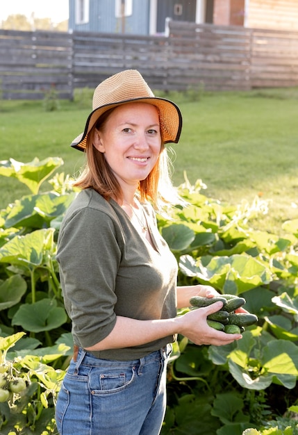 Foto vrouwelijke boer die komkommers vasthoudt bij zonsondergang in de tuin concept van het kweken van natuurlijke voeding op eigen houtje echt werkproces in de tuin