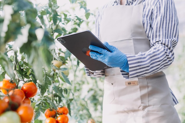 Vrouwelijke boer die vroeg op de boerderij werkt met een houten mand met verse groenten en tablet