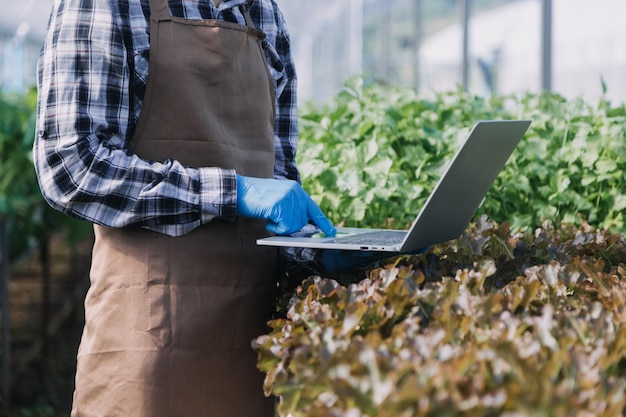 Vrouwelijke boer die vroeg op de boerderij werkt met een houten mand met verse groenten en tablet