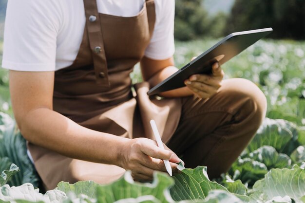 Foto vrouwelijke boer die vroeg op de boerderij werkt met een houten mand met verse groenten en tablet