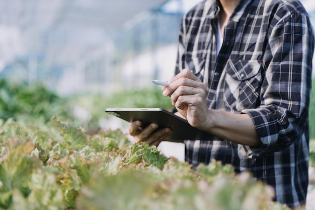 Vrouwelijke boer die vroeg op de boerderij werkt met een houten mand met verse groenten en tabletx9xA