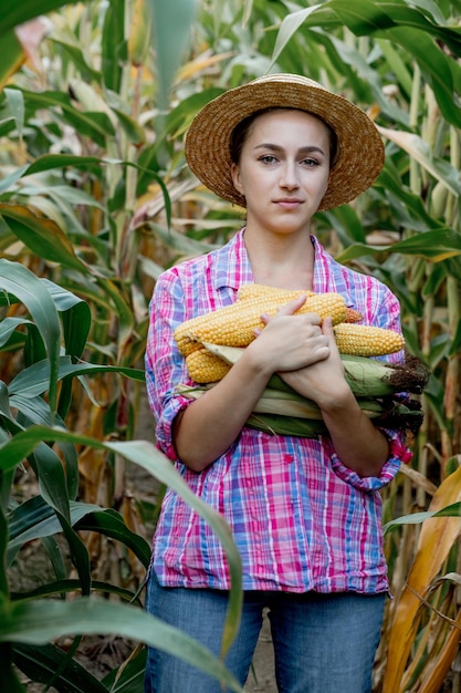 Vrouwelijke boer met verse biologische maïskolven in maïsveld Gewaszorg concept