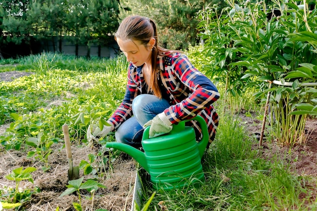Vrouwelijke boer plant aardbeien, zaailingen, scheuten op het bodembed in de voorjaarstuin, landbouw en vermeerdering, plantenverzorging, teelt en transplantatie