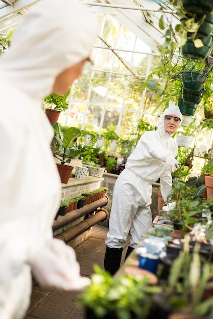 Vrouwelijke collega's werken bij kas