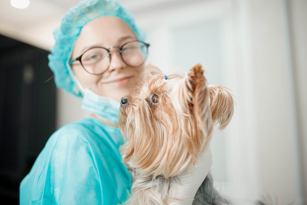 vrouwelijke dierenarts in uniform met yorkshire terrier-hond