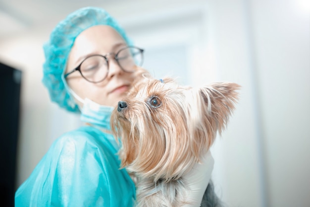 vrouwelijke dierenarts in uniform met yorkshire terrier-hond