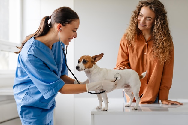 Foto vrouwelijke dierenarts onderzoekt de hond terwijl de eigenaar met genegenheid toekijkt