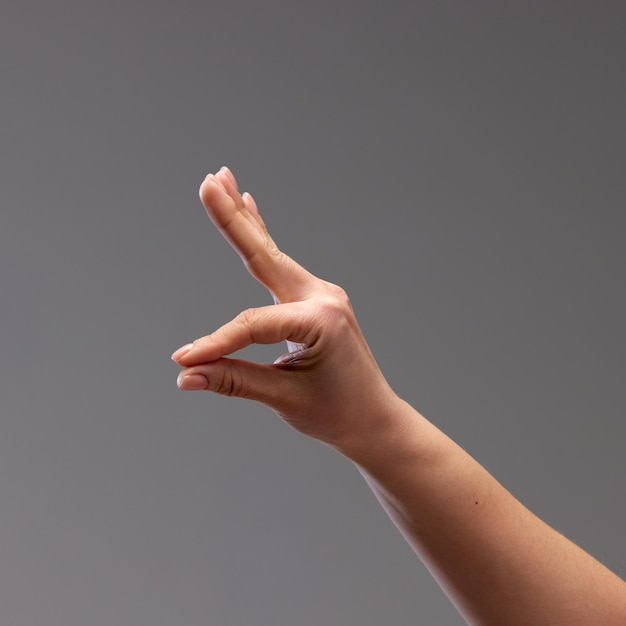 Foto vrouwelijke hand die een gebaar toont tegen een grijze achtergrond die speelt met gebaren waarmee figuren worden gemaakt