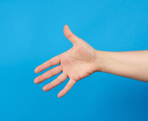 Vrouwelijke hand die haar palm toont