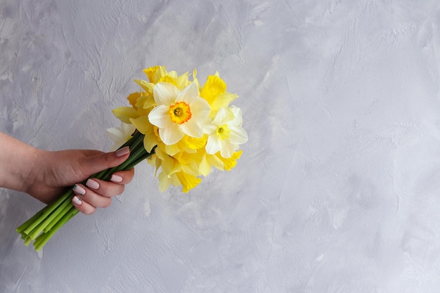 Vrouwelijke hand houdt een boeket narcissen voor een grijze muur Kopieer ruimte Geschenkconcept