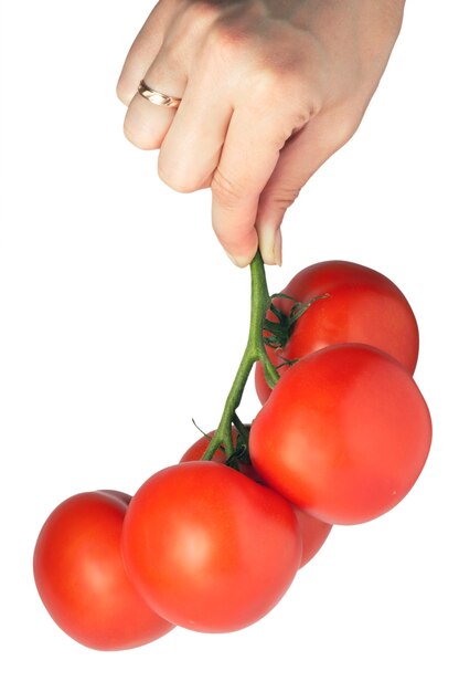 Vrouwelijke hand met een tak van rode sappige tomaten